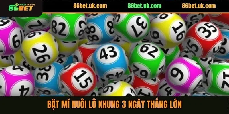 Bật mí nuôi lô khung 3 ngày thắng lớn