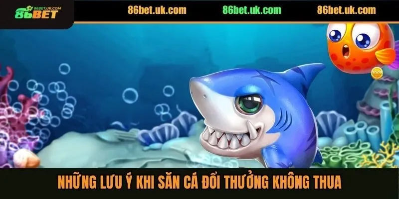 Những lưu ý khi săn cá đổi thưởng không thua